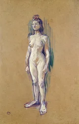 Standing Female Nude